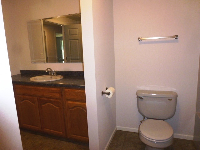 13235 Sportsman Road Dewitt, IL 61735 - Photo 8 of 25 a bathroom with a granite countertop toilet a sink and a mirror