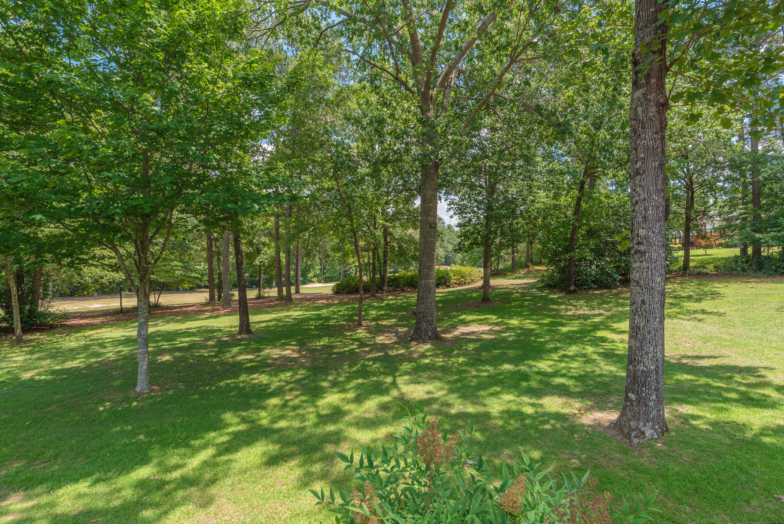 10 Inverness Street East Aiken, SC 29803 - Photo 47 of 51