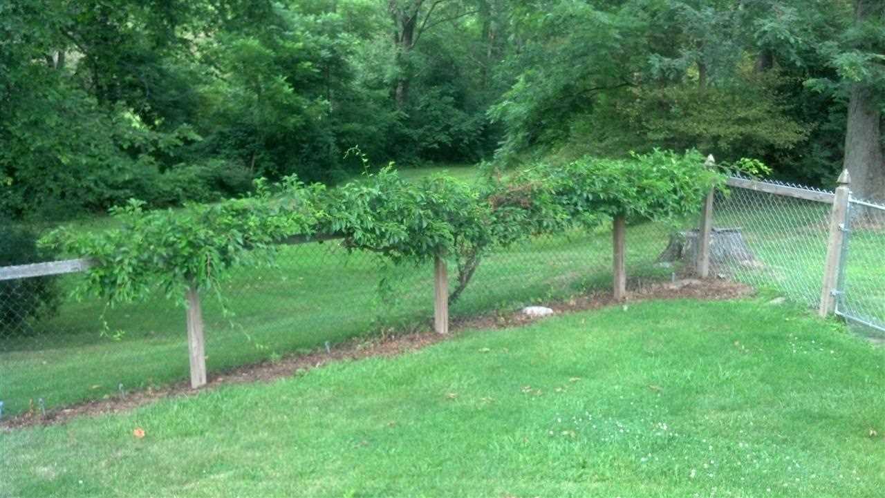 8910 Kress Road Fort Wayne, IN 46809 - Photo 29 of 36