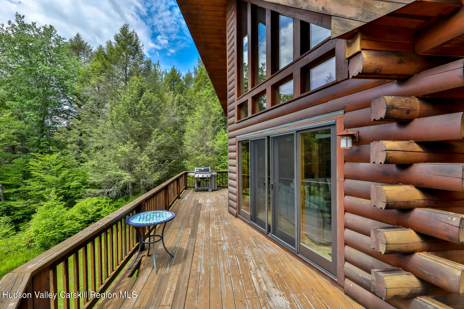 101 Carl Road Jewett, NY 12444 - Photo 8 of 45 11