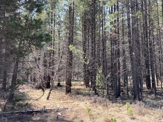 16989 Covina Road Bend, OR 97707 - Photo 1 of 1 ev Covina 1