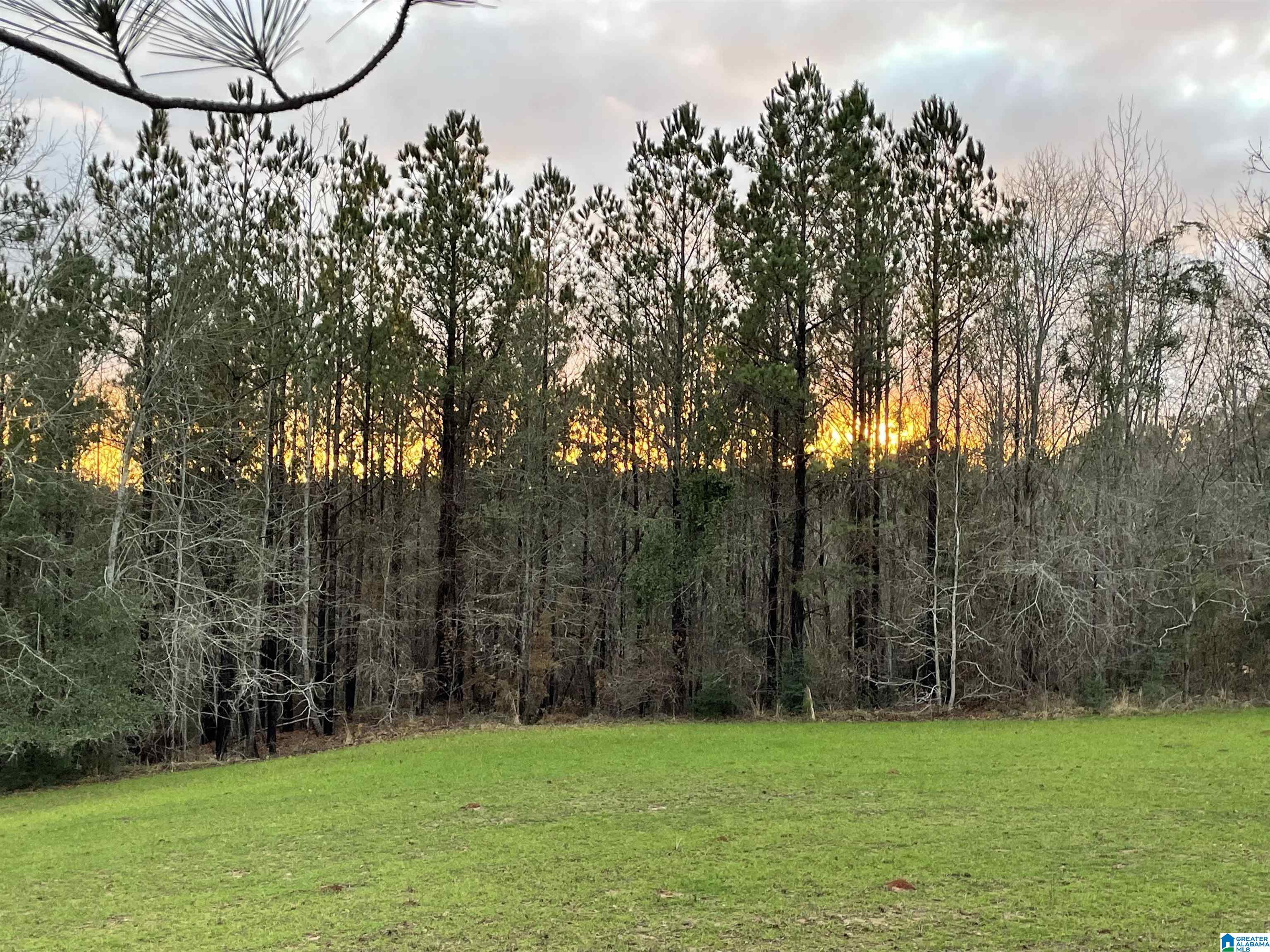 0 County Road 44 Linden, AL 36748 - Photo 45 of 48