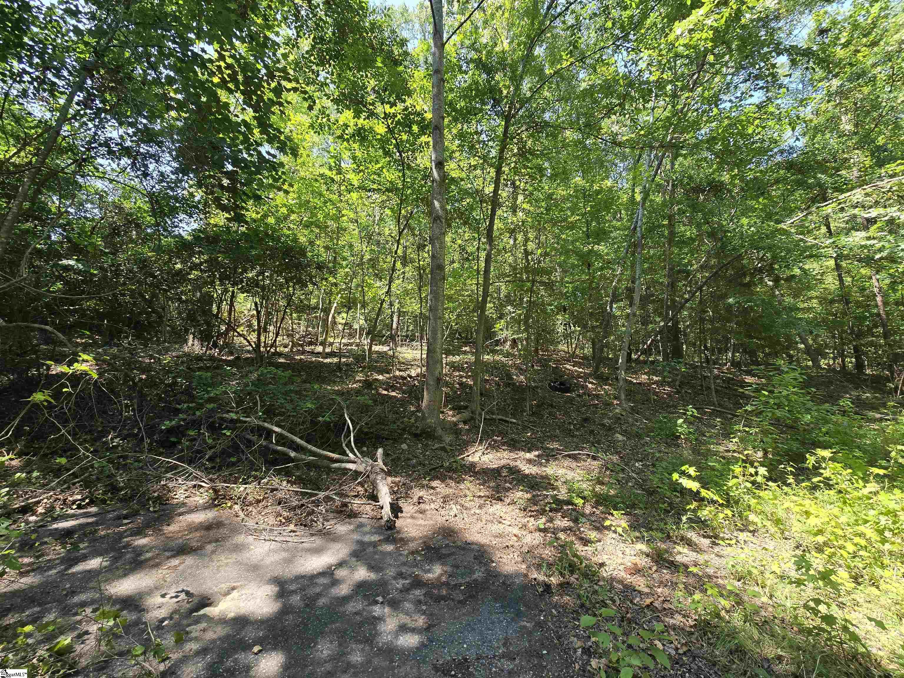 103 Gilmer Road Anderson, SC 29621 - Photo 5 of 10