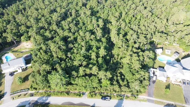 a view of a yard with plants