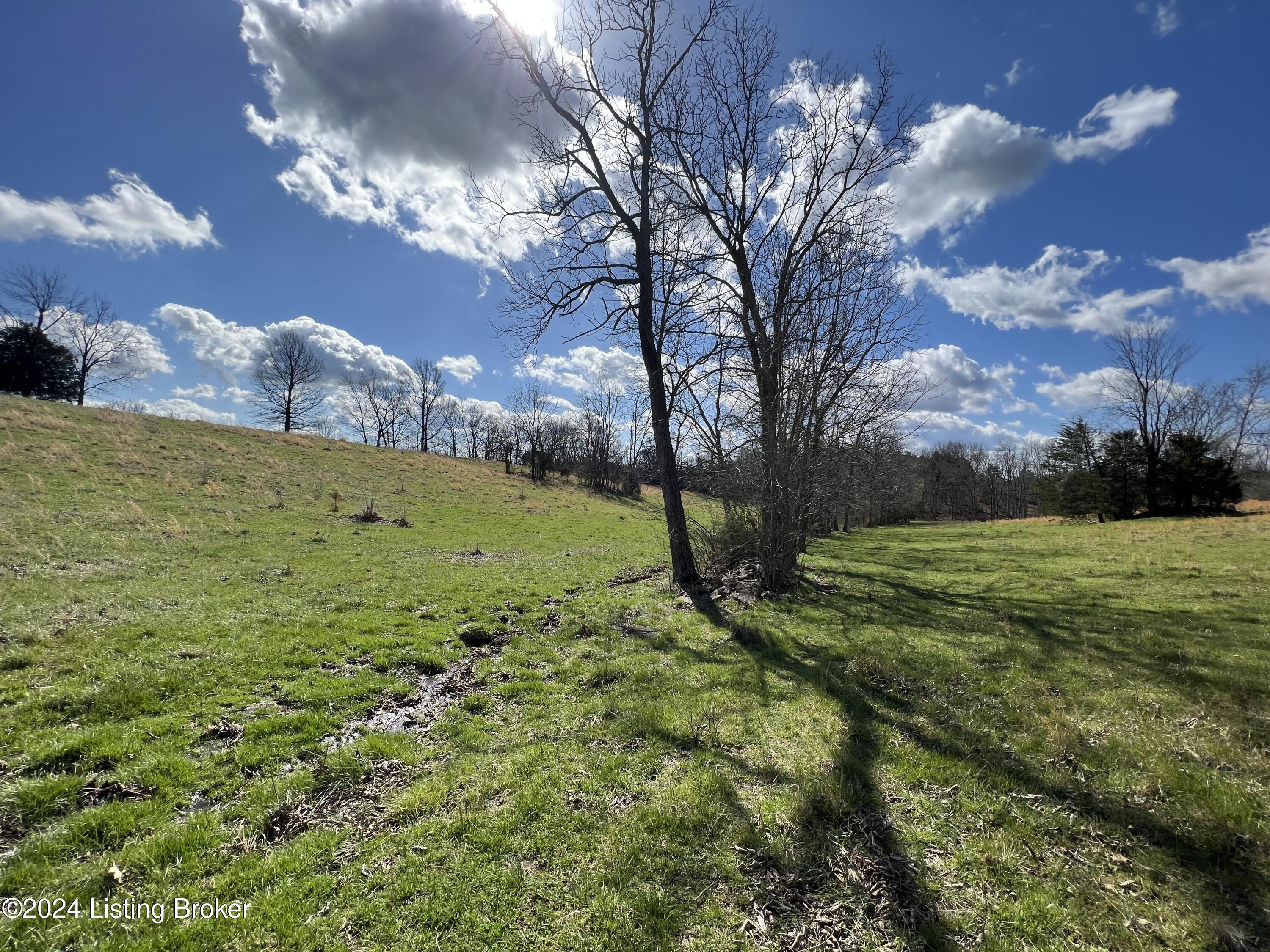 775 Oscar Bradley Road Perryville, KY 40468 - Photo 23 of 34 IMG_5617