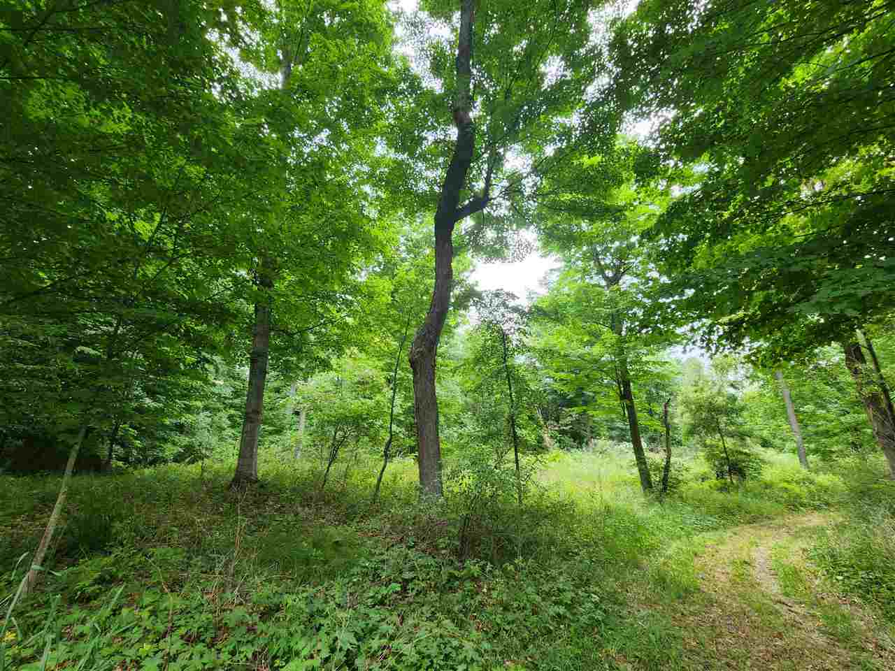 1 1 1 Mile Road White Cloud, MI 49349 - Photo 1 of 12
