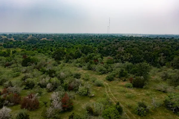 $79,000 | Lot 3 Private Road 4601, Waelder, TX 78959