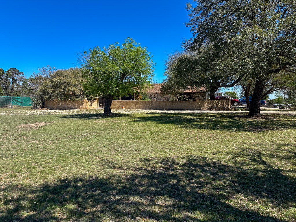203 Cave Spring Drive West Ingram, TX 78025 - Photo 3 of 64