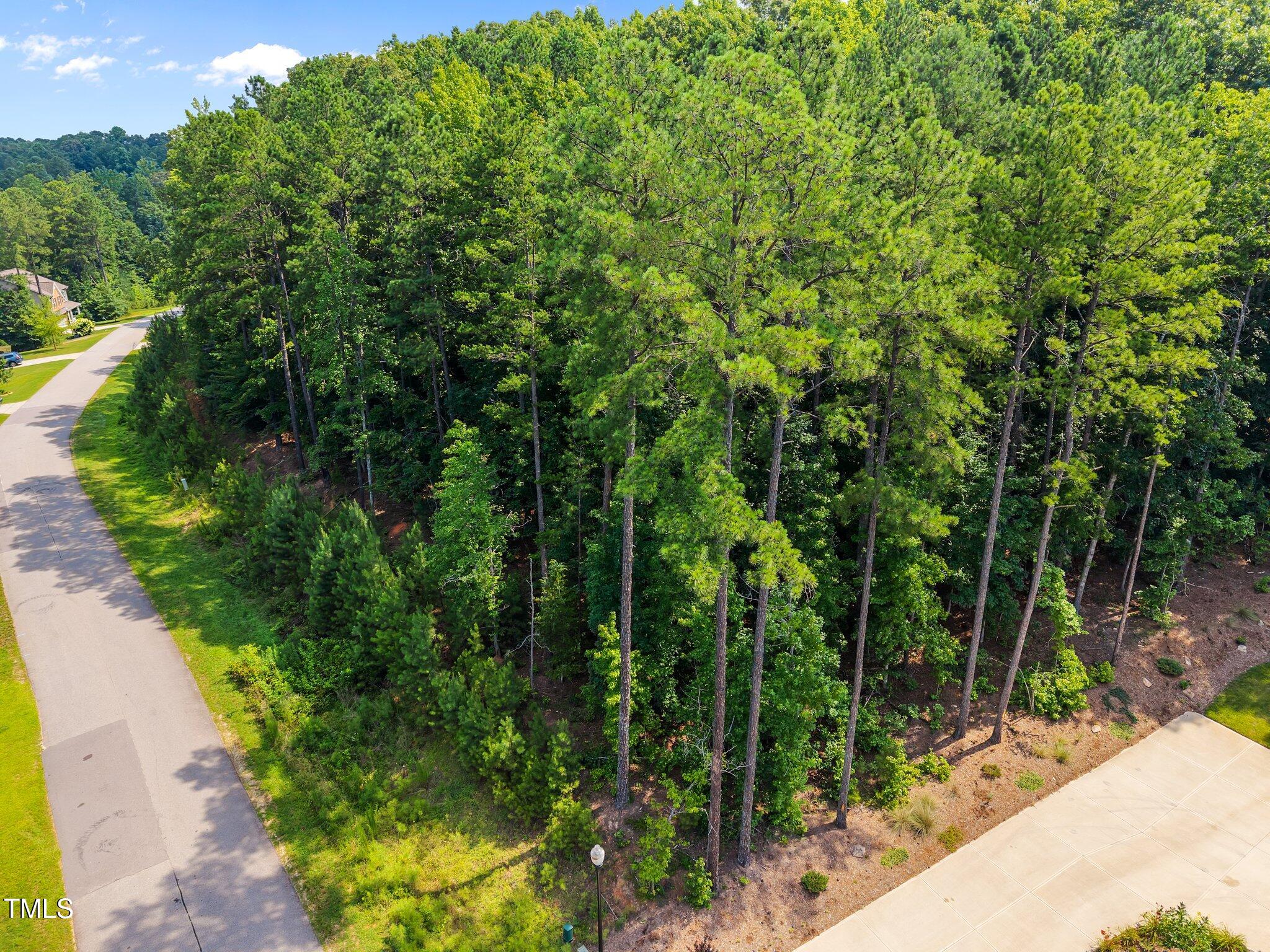 9004 Patmos Way Wake Forest, NC 27587 - Photo 13 of 18 a view of a garden with plants