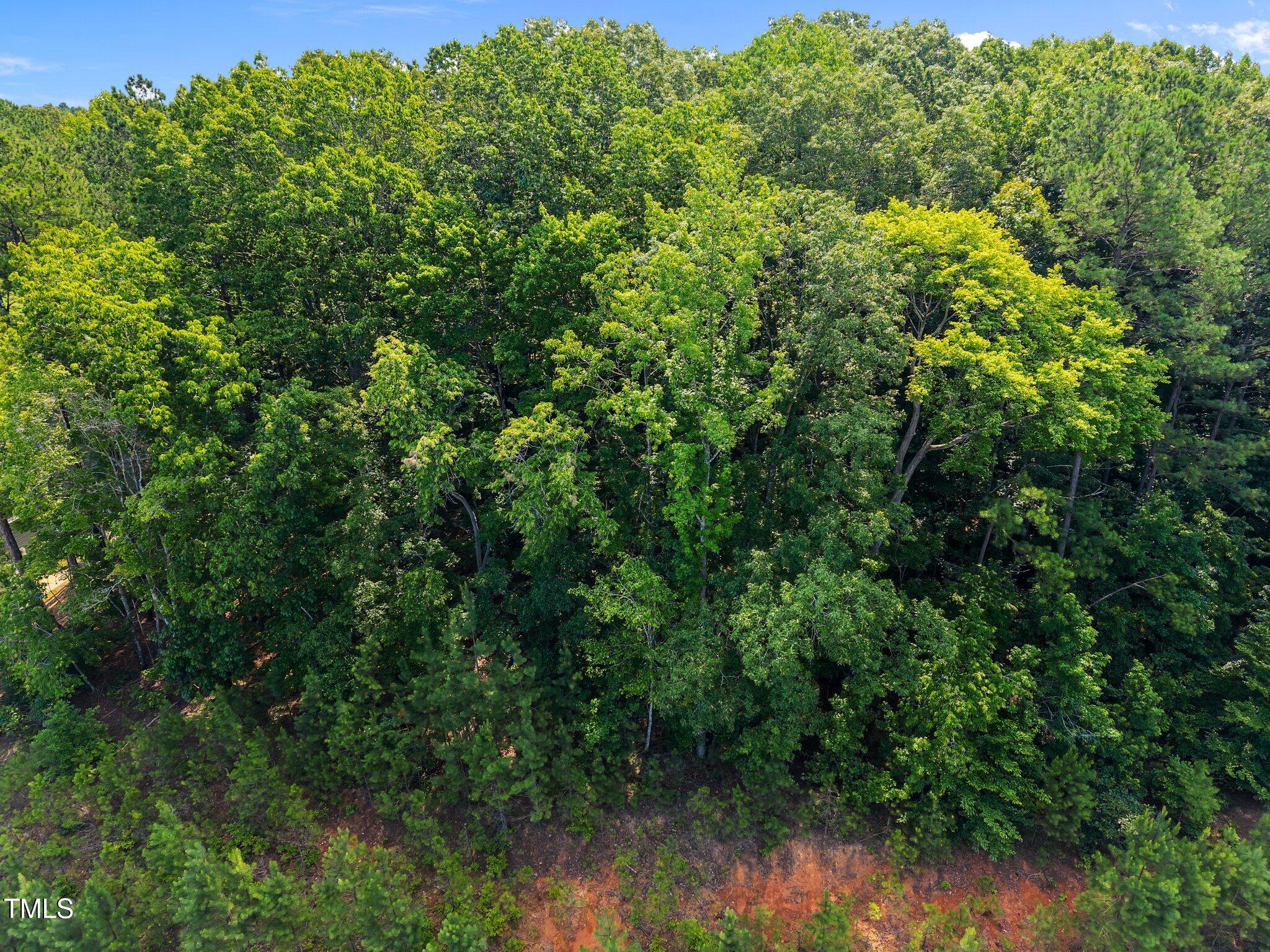 9004 Patmos Way Wake Forest, NC 27587 - Photo 14 of 18 a view of a yard of a house