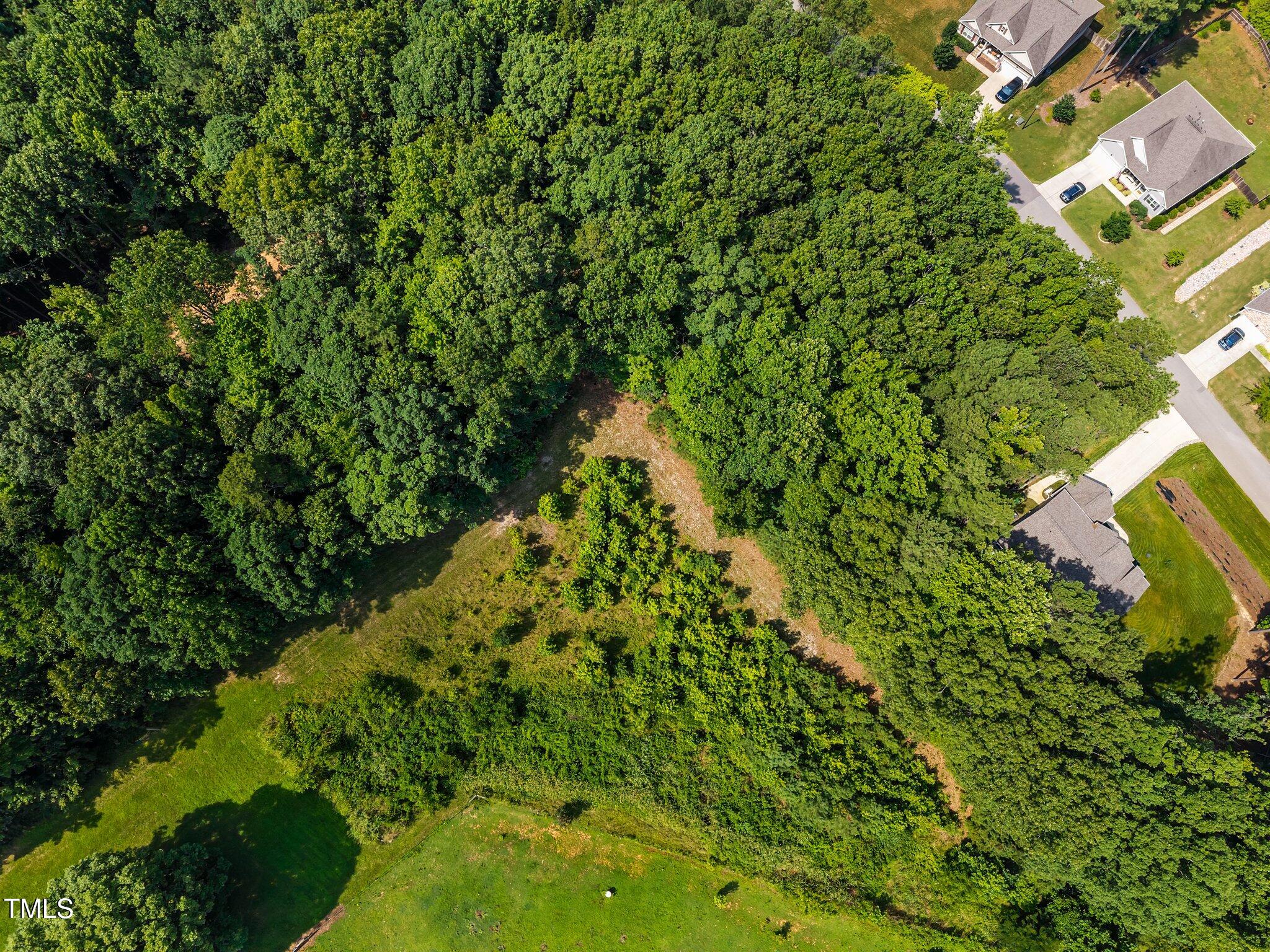9004 Patmos Way Wake Forest, NC 27587 - Photo 7 of 18 a view of a garden