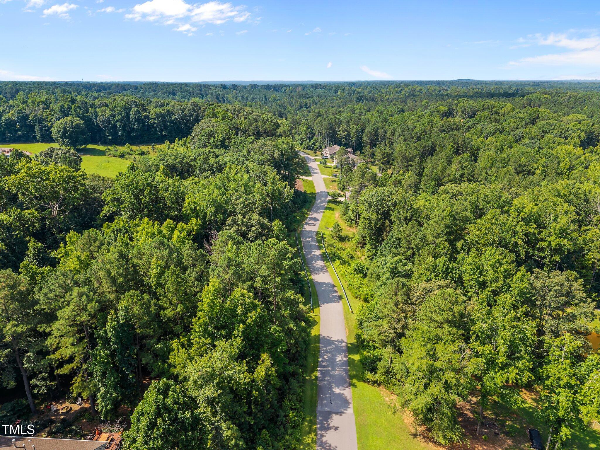 9004 Patmos Way Wake Forest, NC 27587 - Photo 10 of 18 a view of a garden