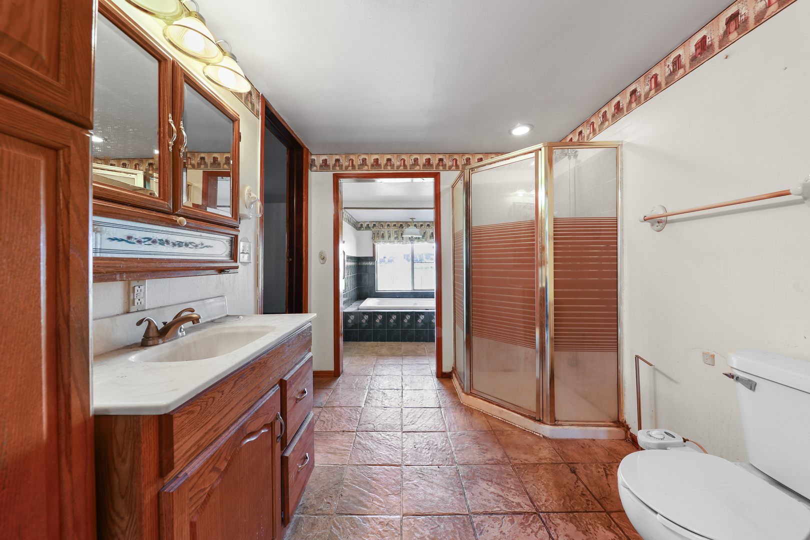 299 East Lincoln Street Seneca, IL 61360 - Photo 9 of 17 a bathroom with a sink a toilet and shower