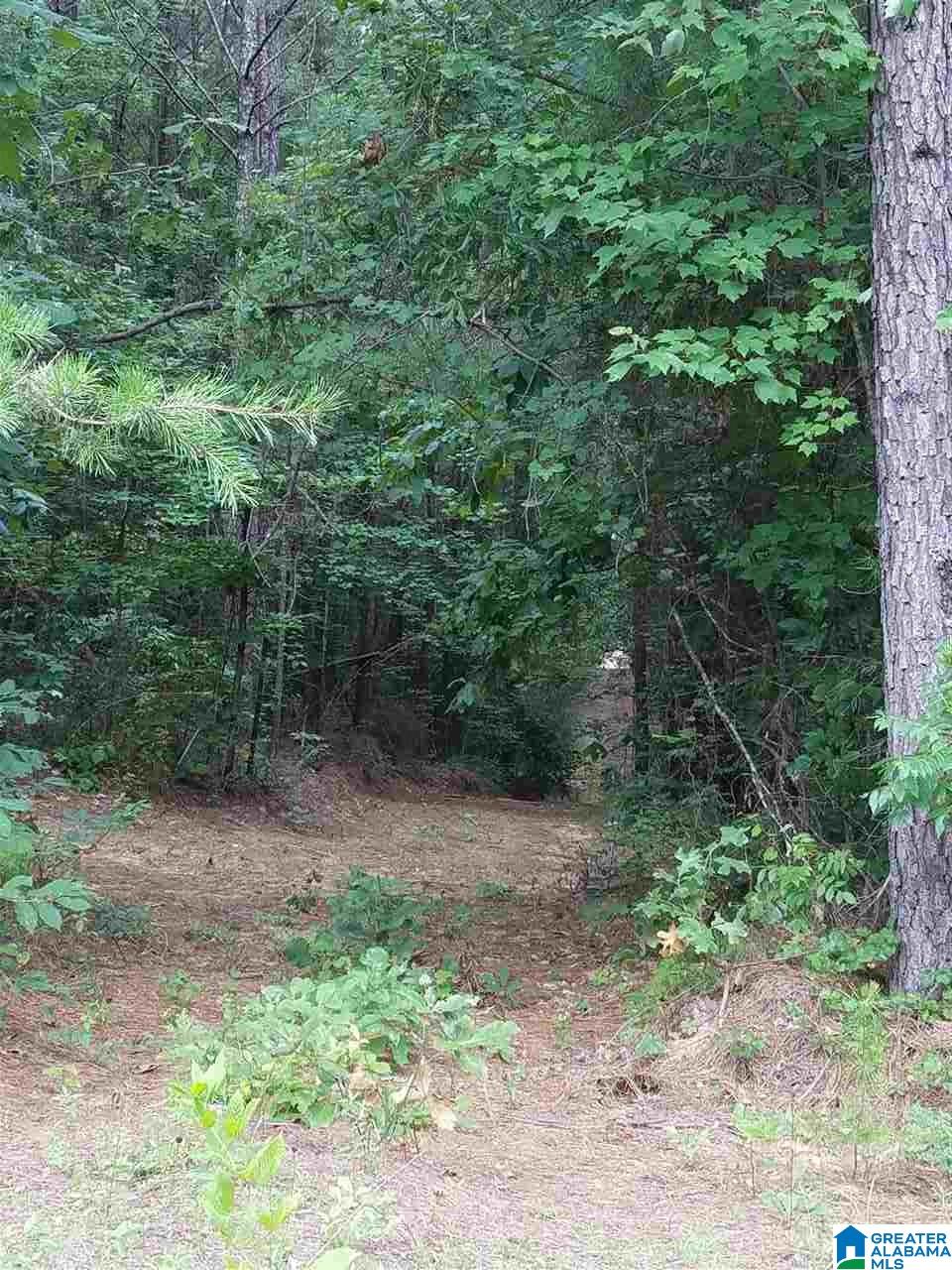 5 Charles Taylor Road, Unit 5 Vance, AL 35490 - Photo 5 of 7