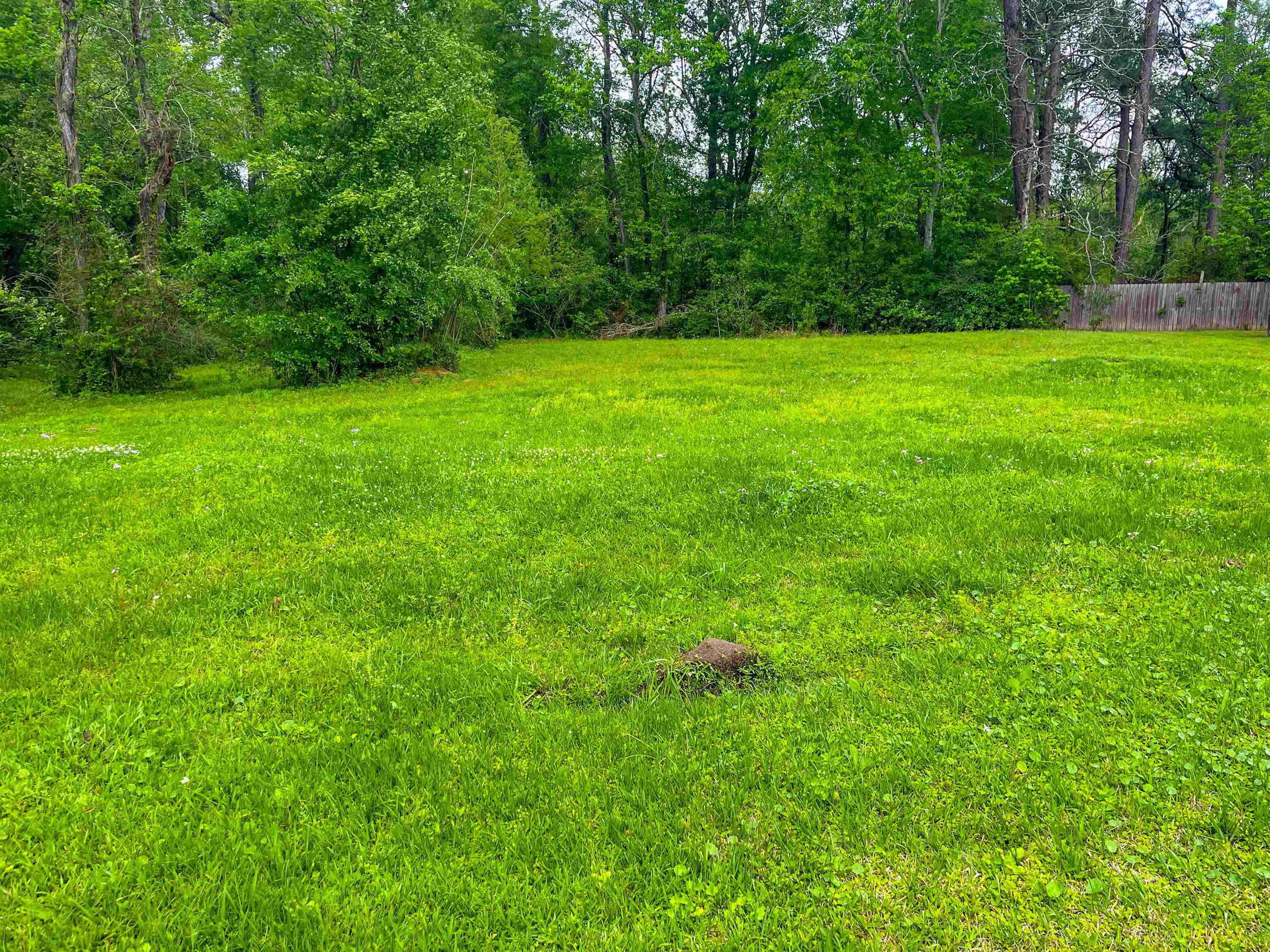 682 Slaughter Street Vidor, TX 77662 - Photo 8 of 10