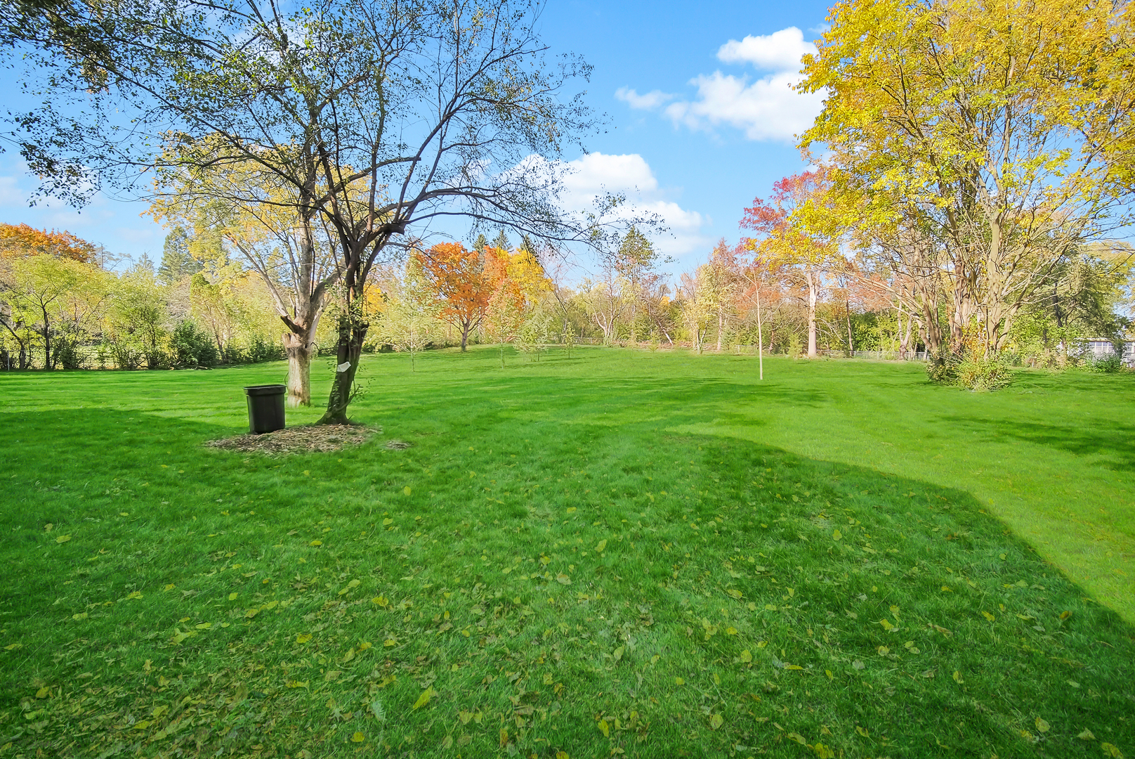 28W360 Roosevelt Road Winfield, IL 60190 - Photo 41 of 50 a view of a park