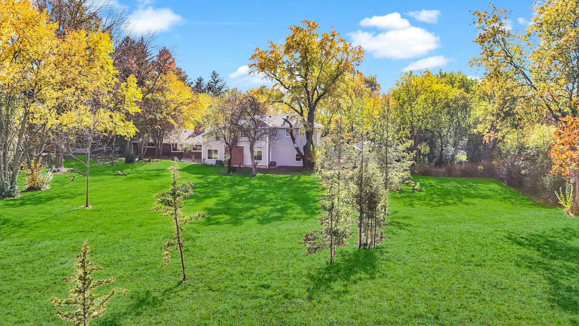 28W360 Roosevelt Road Winfield, IL 60190 - Photo 47 of 50 a green field with lots of trees