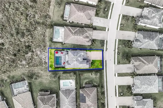 a living room with furniture a fireplace and a potted plant