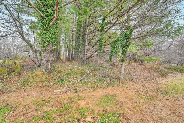 $389,000 | 1059 Fairview Drive, Big Island, VA 24526