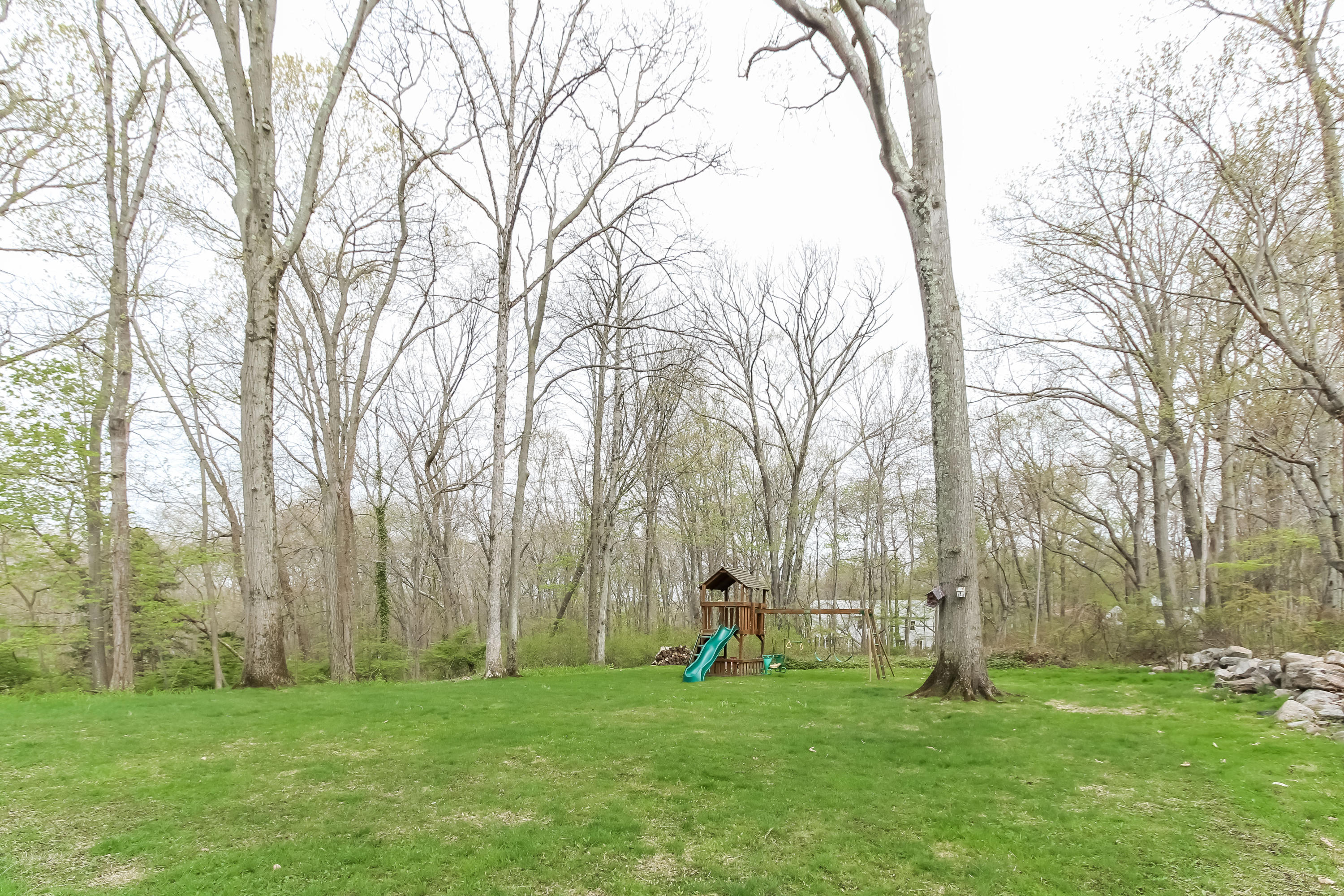 31 Miller Road Darien, CT 06820 - Photo 26 of 29 a view of a park with large trees