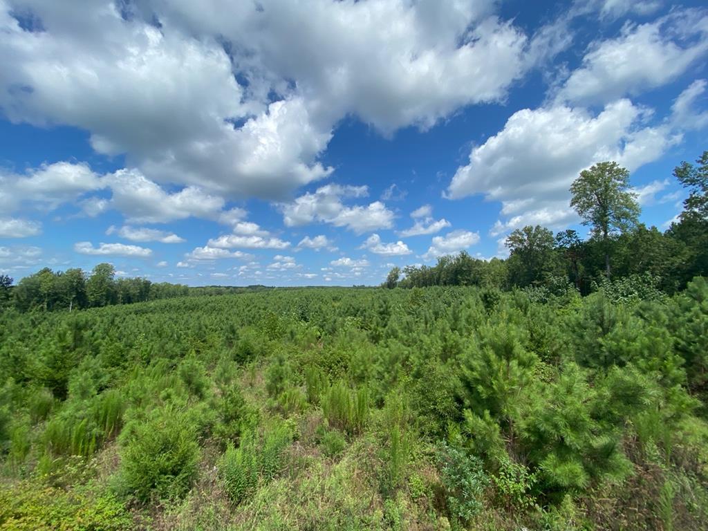 615 Namozine Road Crewe, VA 23930 - Photo 3 of 5 Gallery Image 3