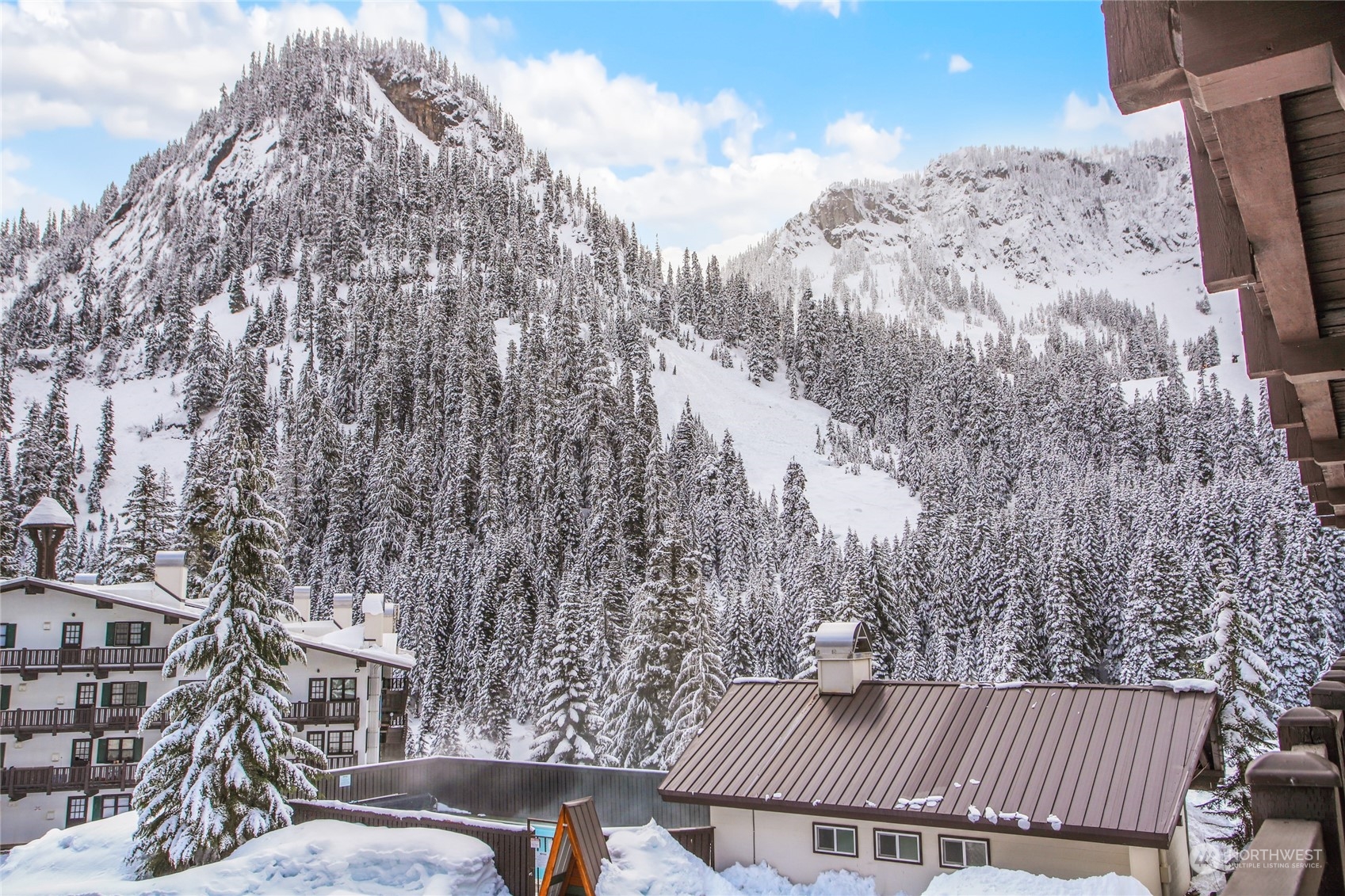 17700 Alpental Access Road, Unit 1006 Snoqualmie Pass, WA 98068 - Photo 14 of 26 a view of balcony with a tree