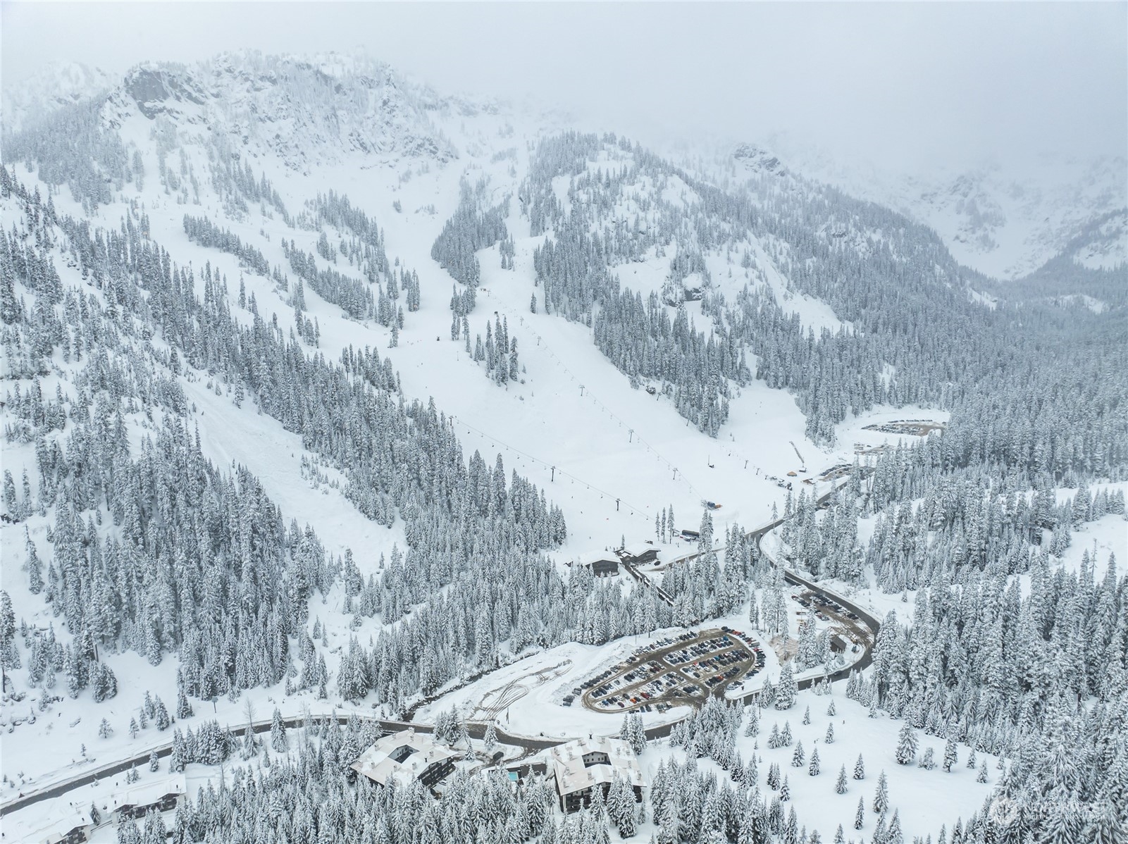 17700 Alpental Access Road, Unit 1006 Snoqualmie Pass, WA 98068 - Photo 17 of 26 a view of a dry yard