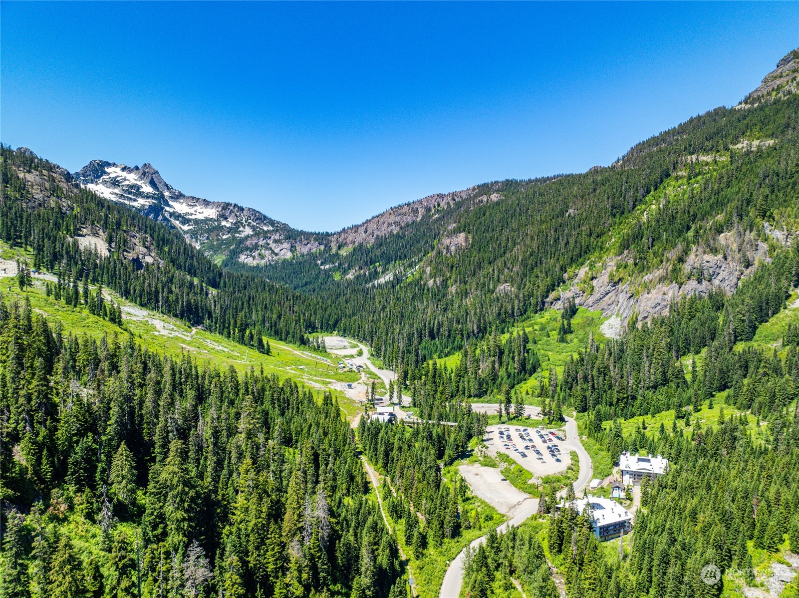 17700 Alpental Access Road, Unit 1006 Snoqualmie Pass, WA 98068 - Photo 22 of 26 a view of a lush green forest with lots of bushes