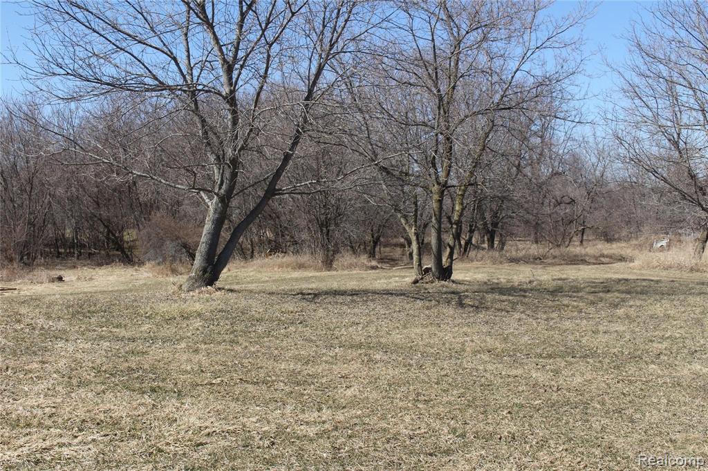 2695 East Jones Road Howell, MI 48855 - Photo 10 of 25