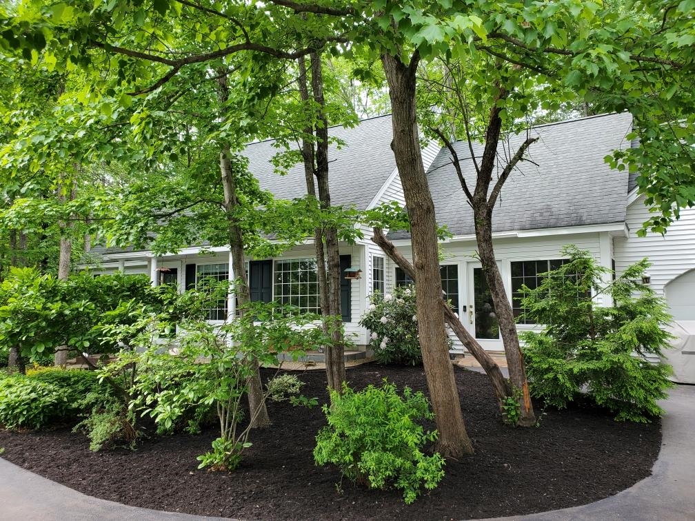 114 Parade Road Barnstead, NH 03225 - Photo 11 of 55