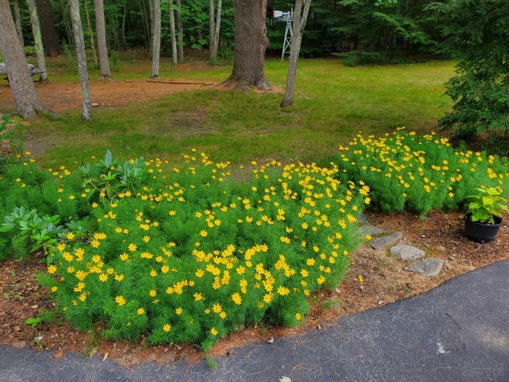 114 Parade Road Barnstead, NH 03225 - Photo 7 of 55