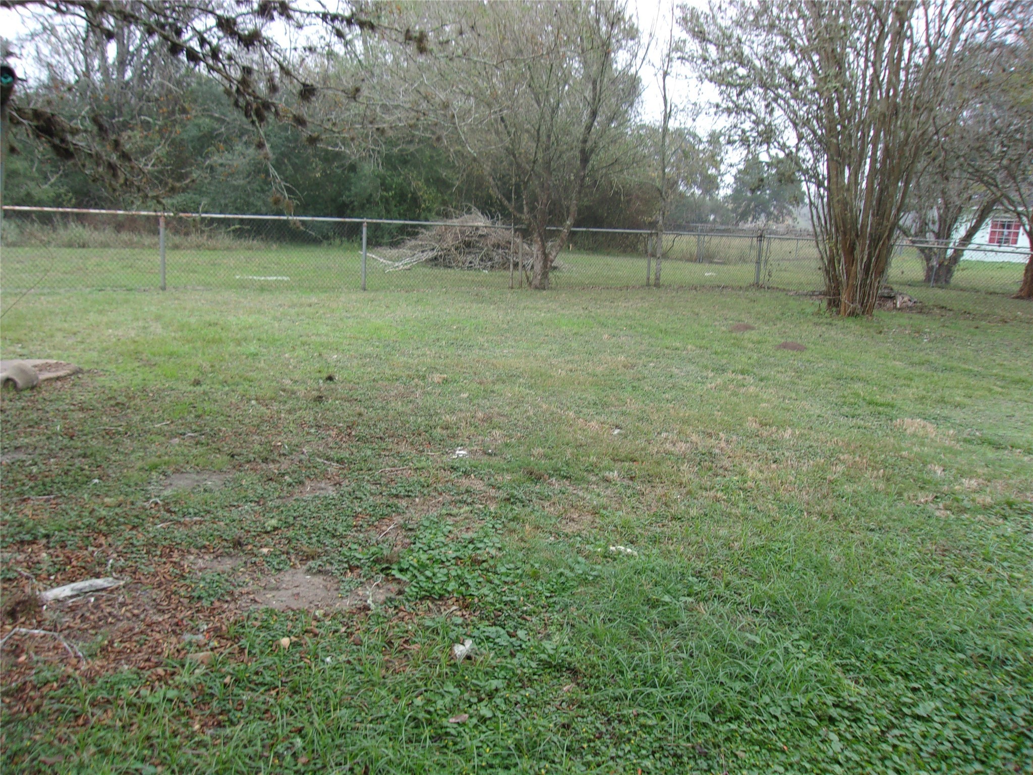 1539 Jerrell Coffee Road Columbus, TX 78934 - Photo 9 of 10 Backyard