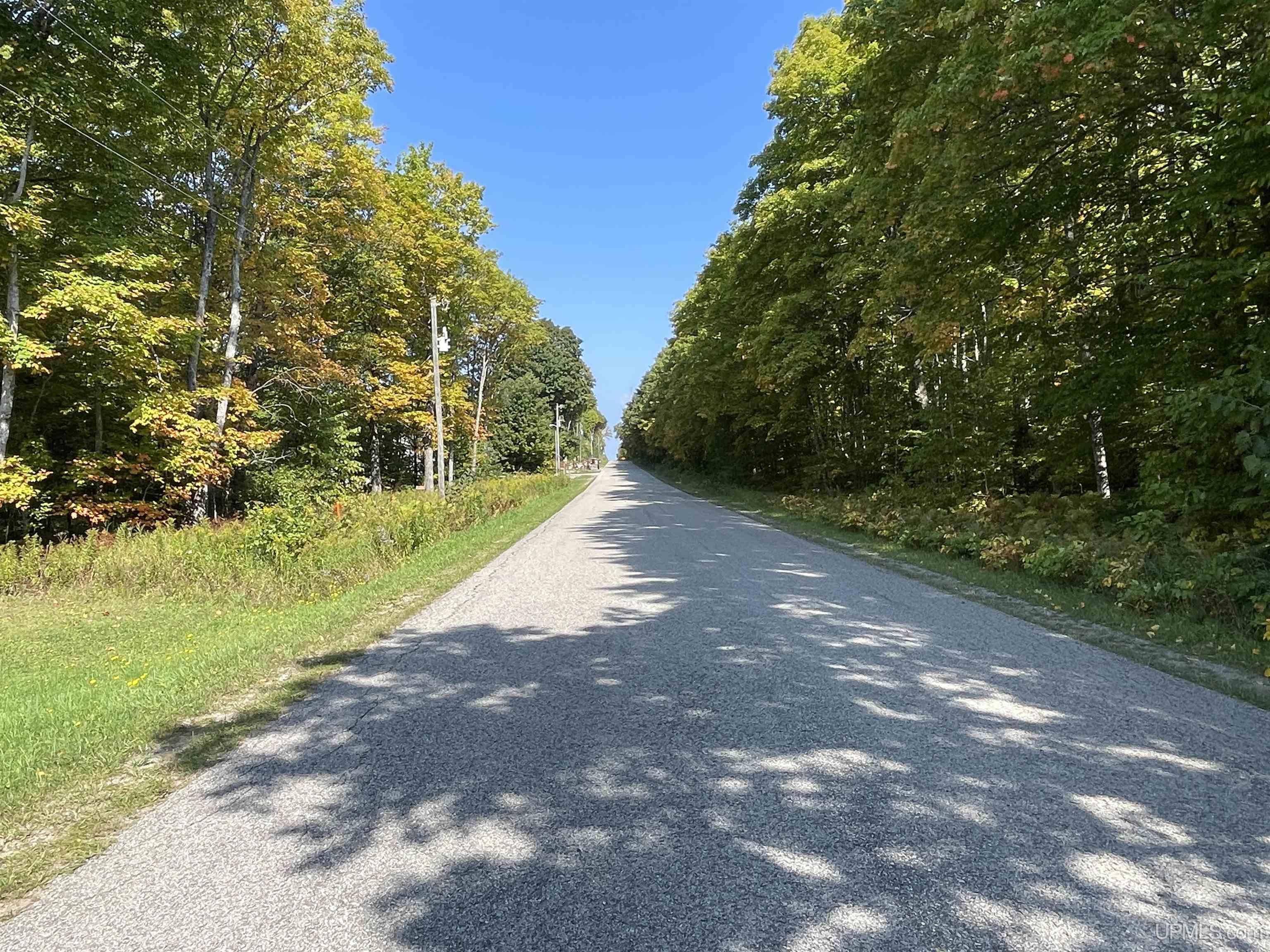 9787 County 513 T Road Rapid River, MI 49878 - Photo 5 of 73
