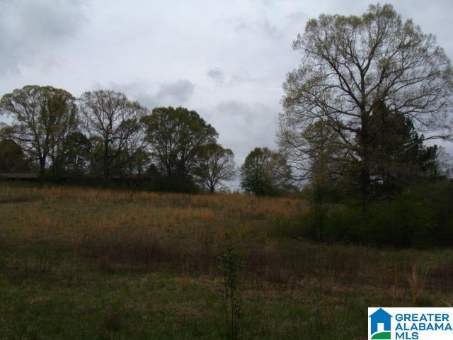 406 Caffe Ridge, Unit PARCEL Woodstock, AL 35188 - Photo 13 of 30