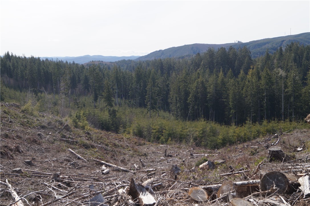 62 State Route 101 Raymond, WA 98577 - Photo 1 of 10 Gallery Image 1