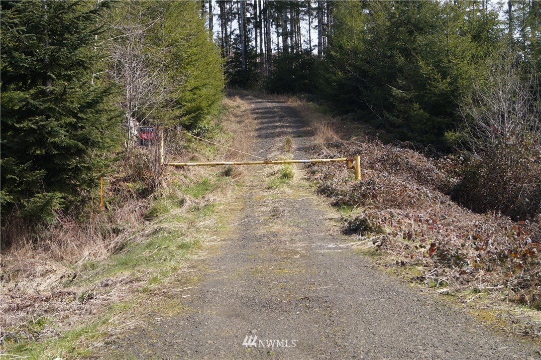 62 State Route 101 Raymond, WA 98577 - Photo 2 of 10 Gallery Image 2
