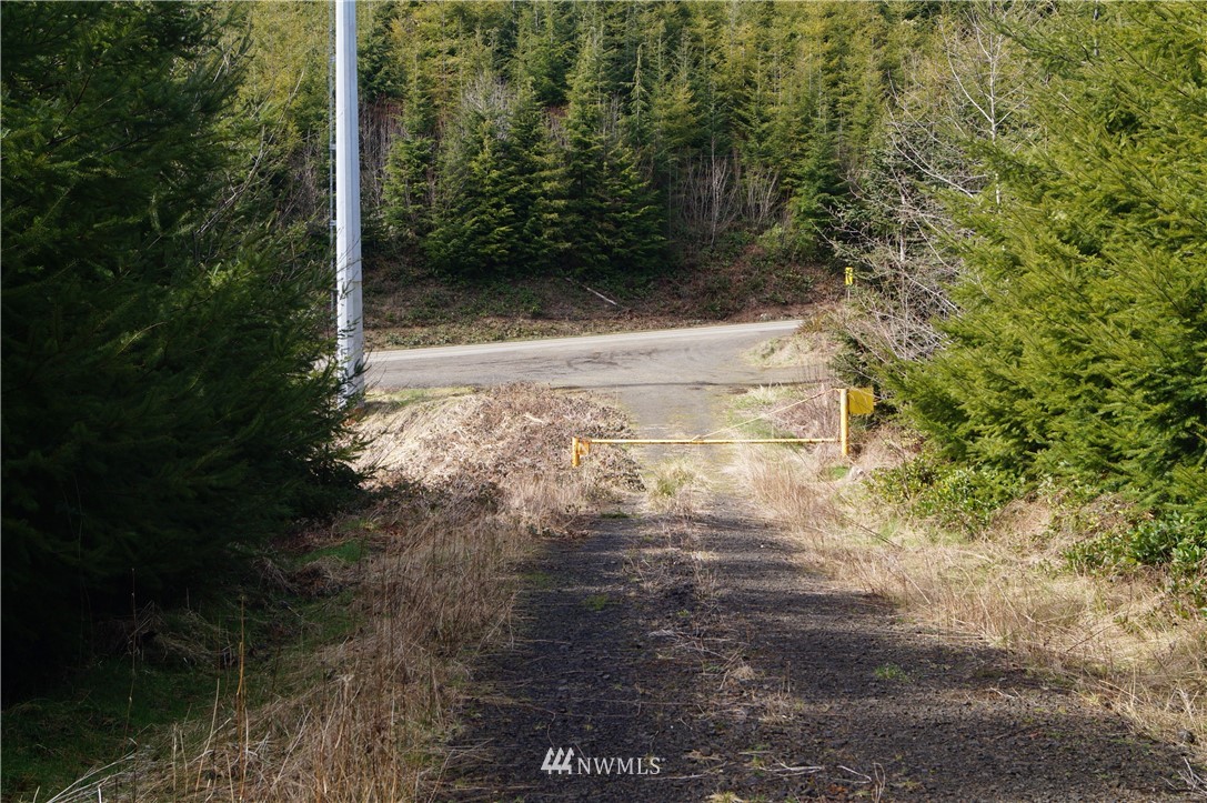 62 State Route 101 Raymond, WA 98577 - Photo 3 of 10 Gallery Image 3