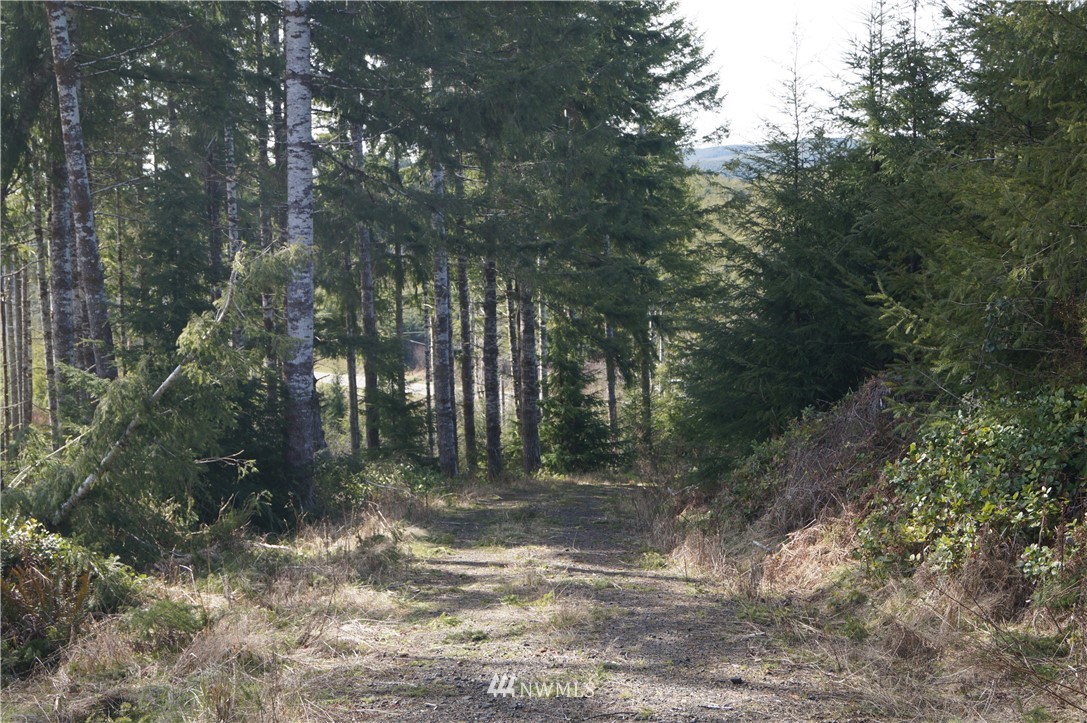 62 State Route 101 Raymond, WA 98577 - Photo 4 of 10 Gallery Image 4