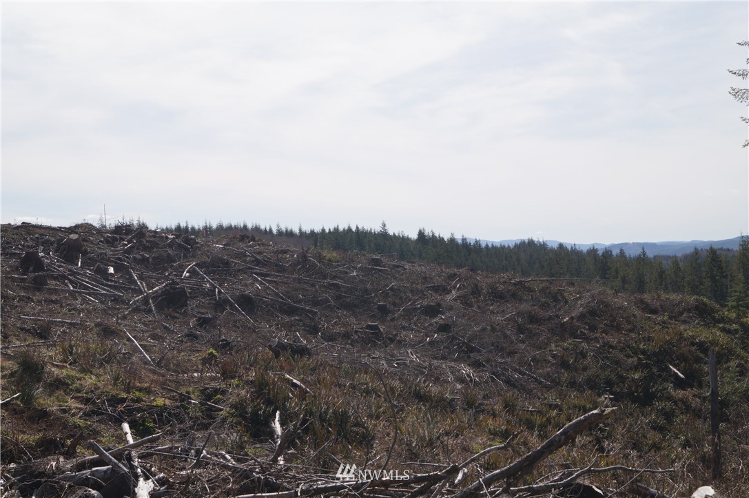 62 State Route 101 Raymond, WA 98577 - Photo 5 of 10 Gallery Image 5