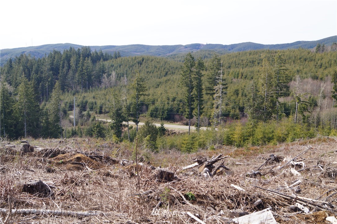 62 State Route 101 Raymond, WA 98577 - Photo 6 of 10 Gallery Image 6