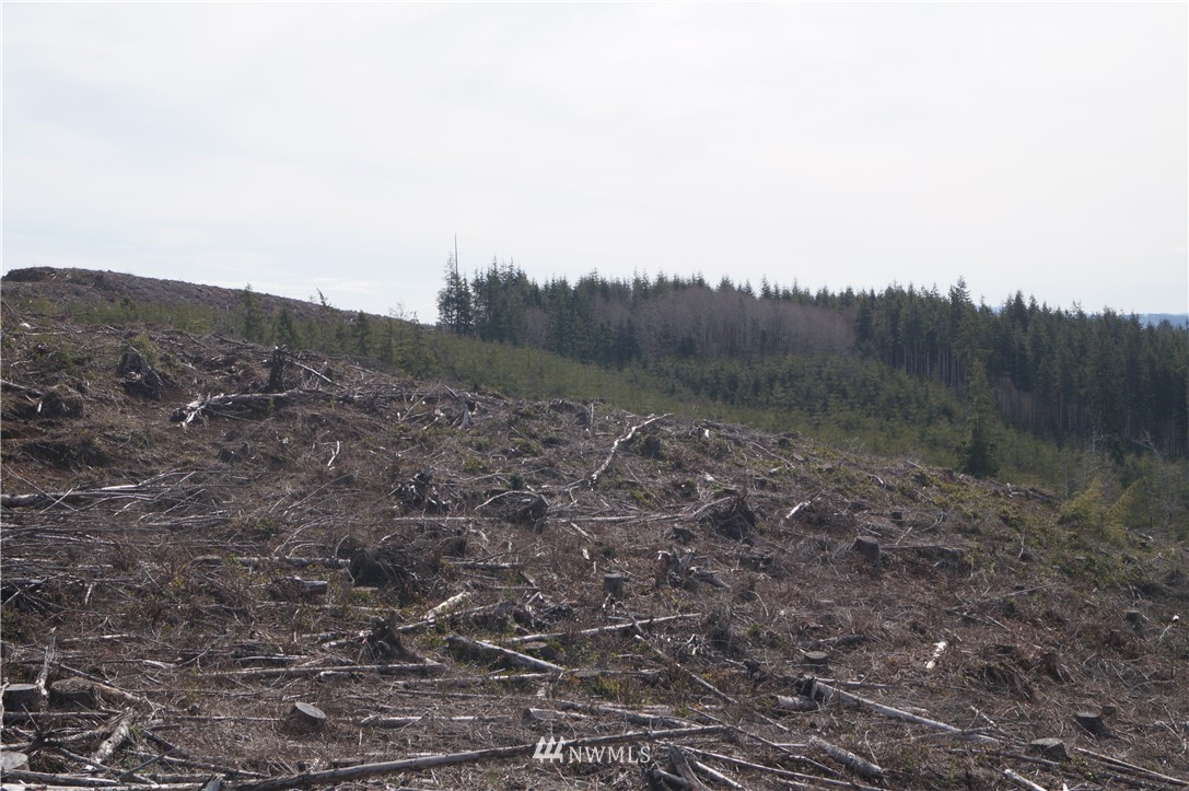 62 State Route 101 Raymond, WA 98577 - Photo 7 of 10 Gallery Image 7