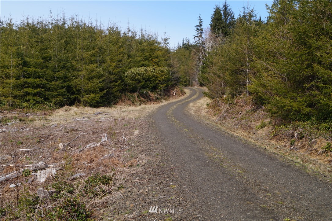 62 State Route 101 Raymond, WA 98577 - Photo 9 of 10 Gallery Image 9