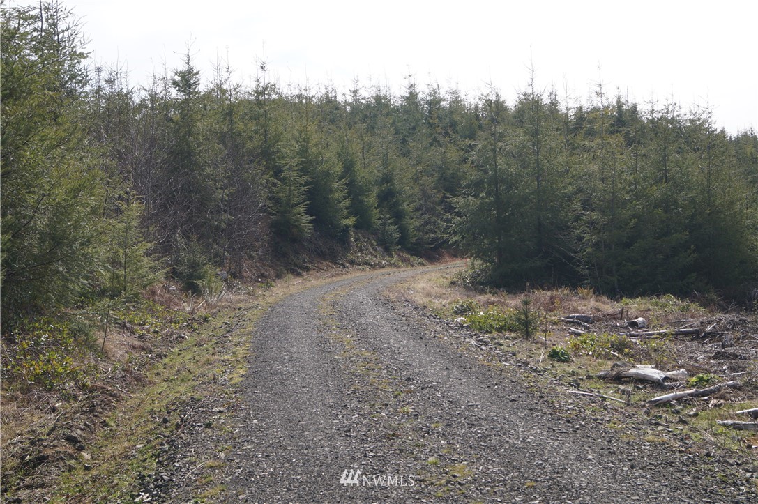 62 State Route 101 Raymond, WA 98577 - Photo 10 of 10 Gallery Image 10