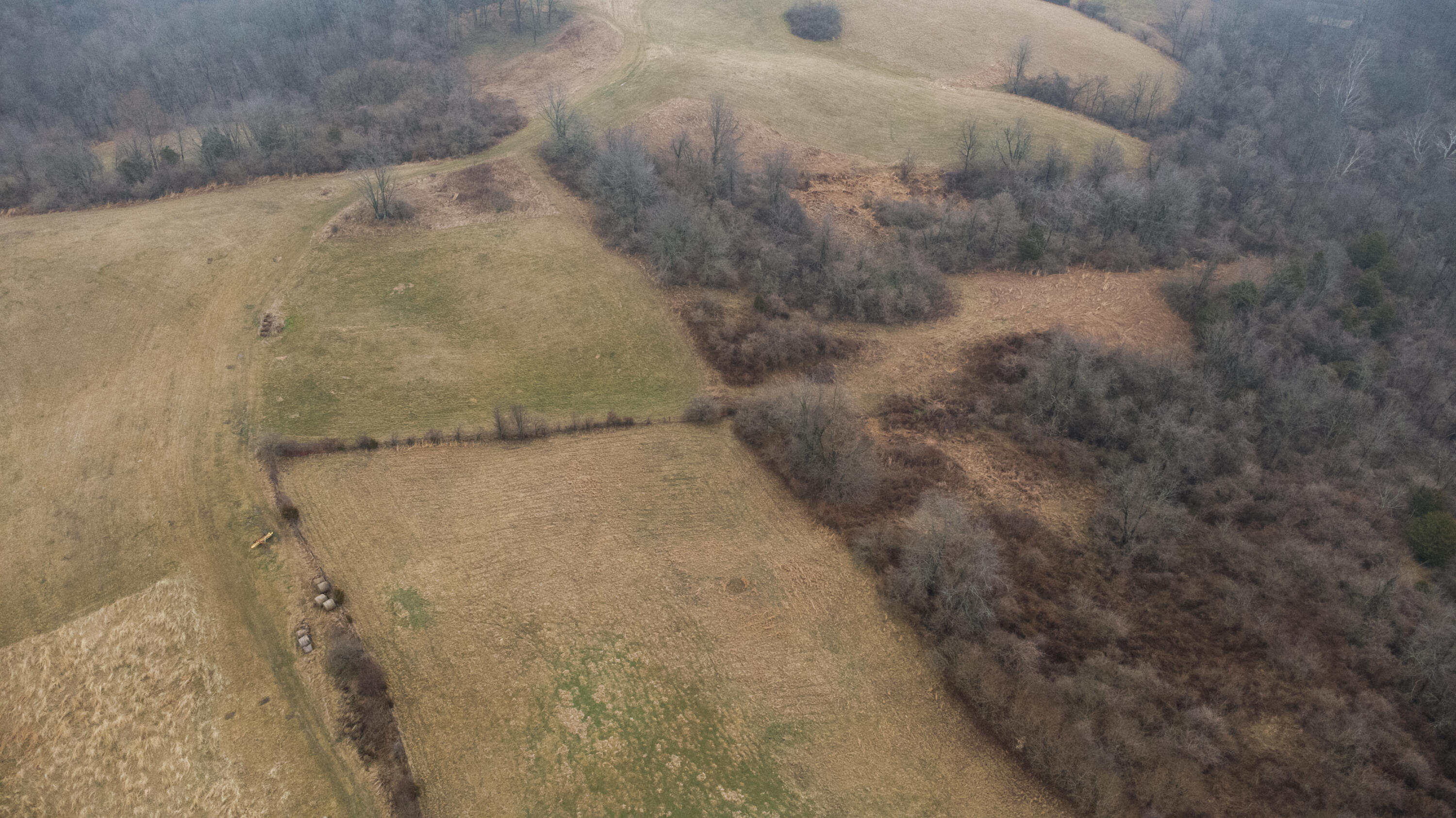 7812 East Bend Road Burlington, KY 41005 - Photo 15 of 47