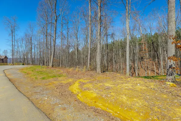 $110,000 | 0 Moonlight Lane, Unit JF437, Jasper, TN 37347
