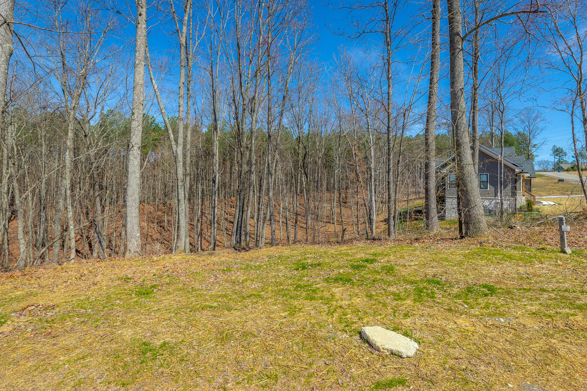 0 Moonlight Lane, Unit JF437 Jasper, TN 37347 - Photo 11 of 73 0 Moonlight Lane - JF437 HD-9