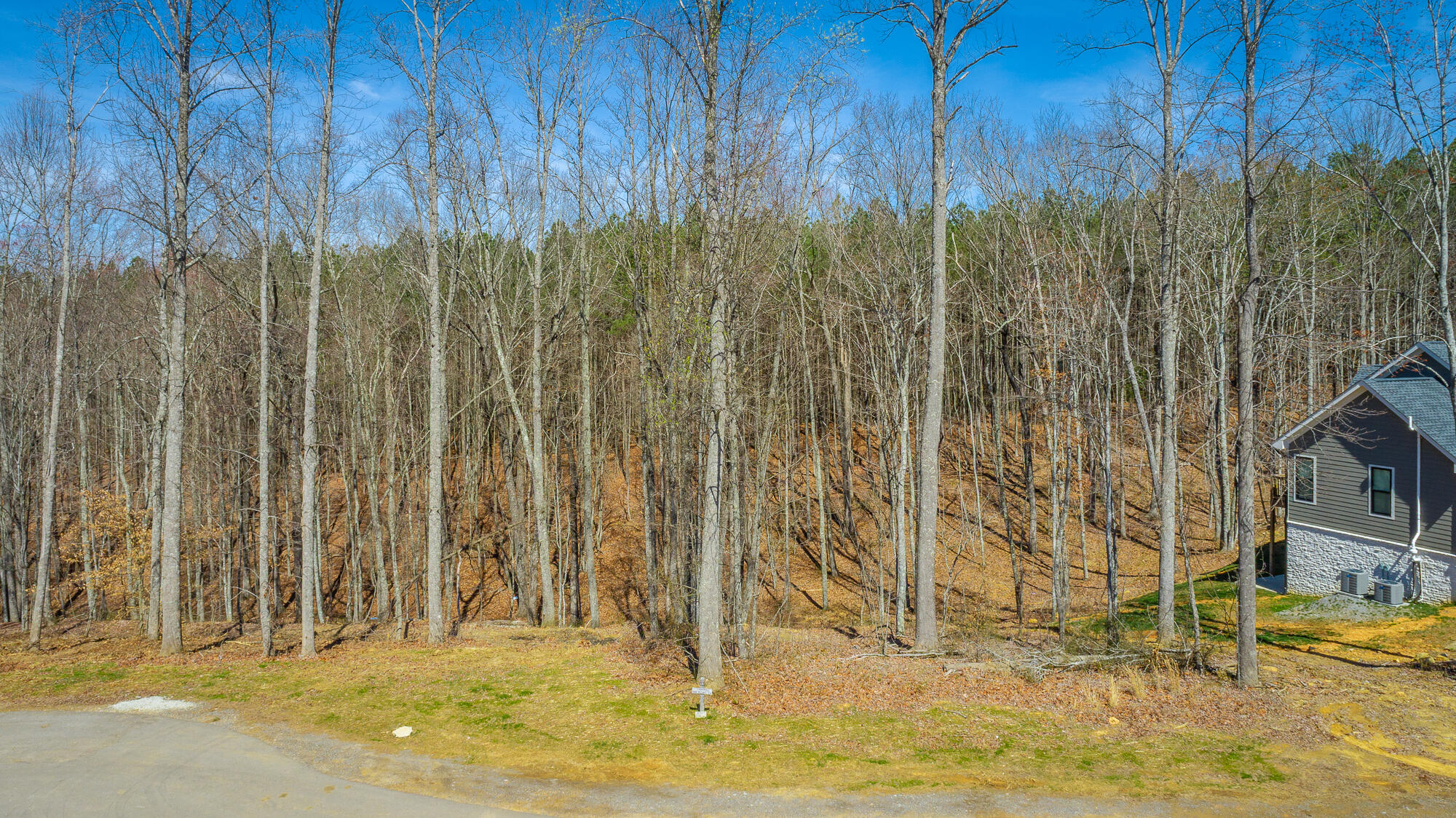 0 Moonlight Lane, Unit JF437 Jasper, TN 37347 - Photo 17 of 73 0 Moonlight Lane - JF437 HD-16