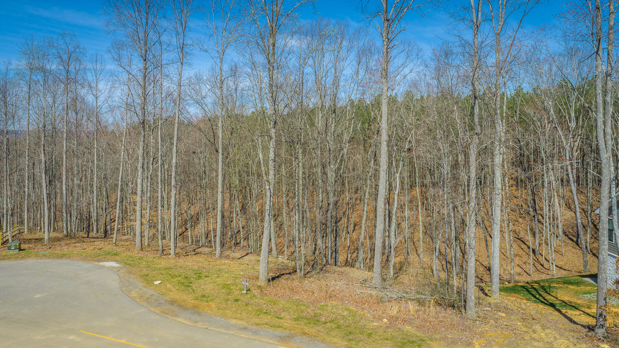 0 Moonlight Lane, Unit JF437 Jasper, TN 37347 - Photo 18 of 73 0 Moonlight Lane - JF437 HD-17