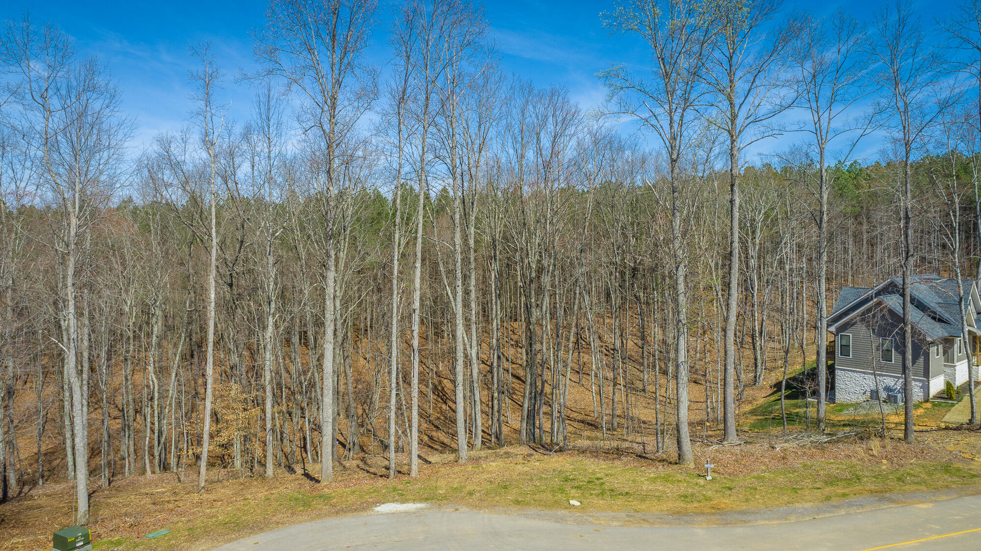 0 Moonlight Lane, Unit JF437 Jasper, TN 37347 - Photo 21 of 73 0 Moonlight Lane - JF437 HD-20