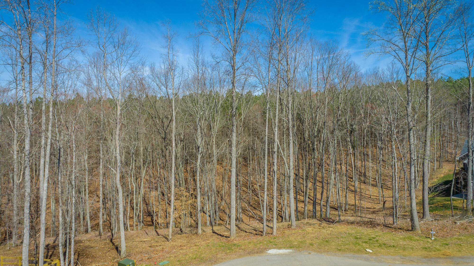 0 Moonlight Lane, Unit JF437 Jasper, TN 37347 - Photo 22 of 73 0 Moonlight Lane - JF437 HD-21